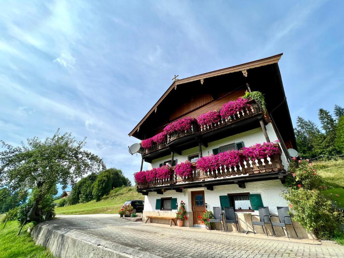 Appartement Sunnseit - Kitzbueheler Alpen 蒂罗的圣约翰 外观 照片